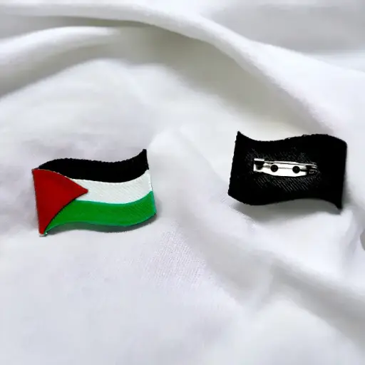 دبوس علم فلسطين